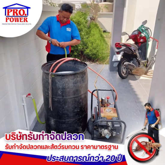 รับกำจัดปลวก กำจัดแมลง พัทยา ชลบุรี