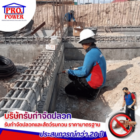รับวางท่อปลวกอาคารระหว่างการก่อสร้าง