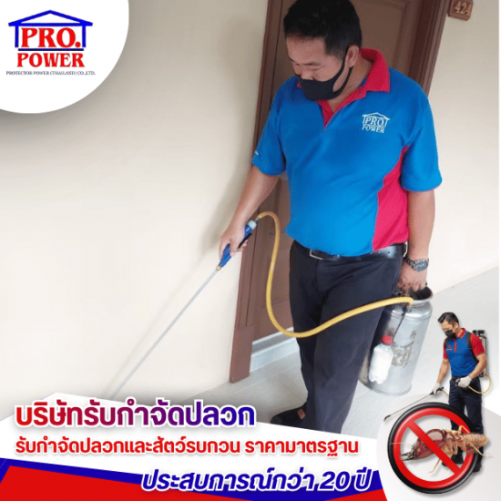 บริษัทรับกำจัดมด แมลงสาบและหนู ศรีราชา พัทยา สัตหีบ