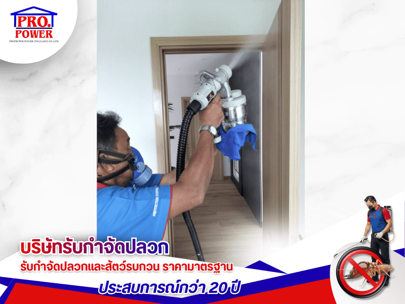 บริษัทรับกำจัดแมลงบินรบกวน พัทยา บริษัทรับกำจัดแมลงบินรบกวน พัทยา